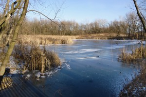 Frozen Pond Photograph by Patricia Crisafulli