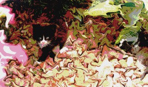 Porch Creatures | Andrew Furgal