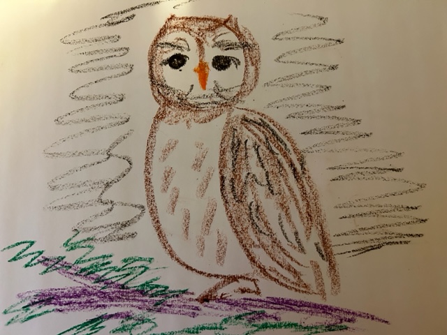 Owl doodle by Patricia Crisafulli
