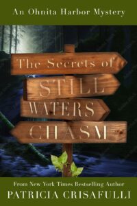 Secrets Of Still Waters Chasm book cover